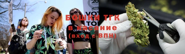 соль ск Алексеевка