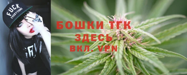 трава Абаза
