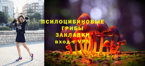 соль ск Алексеевка