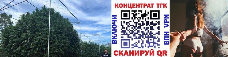 МЕГА ссылка  Нюрба  Дистиллят ТГК THC oil 