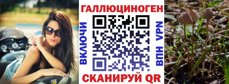 как найти наркотики Нюрба Псилоцибиновые грибы мухоморы