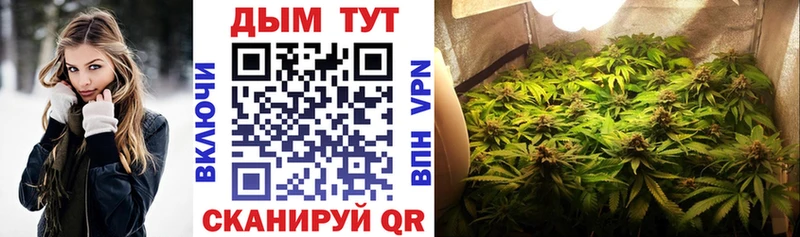 цены наркотик  Нюрба  МАРИХУАНА Amnesia 